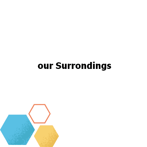 our Surrondings